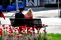 /album/imagens/zagreb-lovers-and-flowers-for-sarah-by-rikitza-d4cizff-jpg/