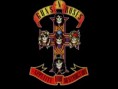 /album/guns-n-roses/a3341ydv-jpg/