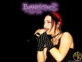 /album/evanescence/evanescence-amy-lee-singing-wallpaper-1600x1200-jpg/